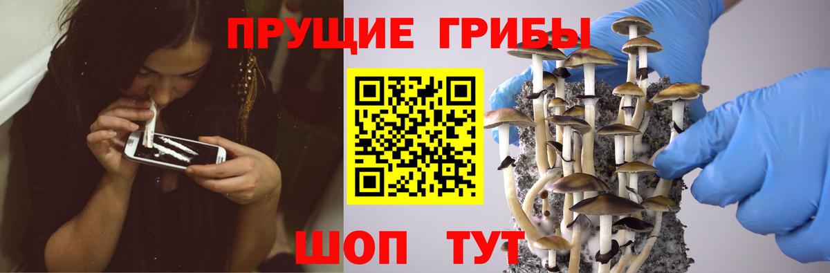 Галлюциногенные грибы Psilocybine cubensis  Псилоцибиновые грибы Cubensis  Новодвинск  Вход с VPN 