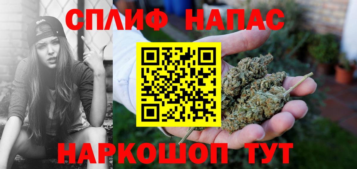 Конопля гибрид Новодвинск